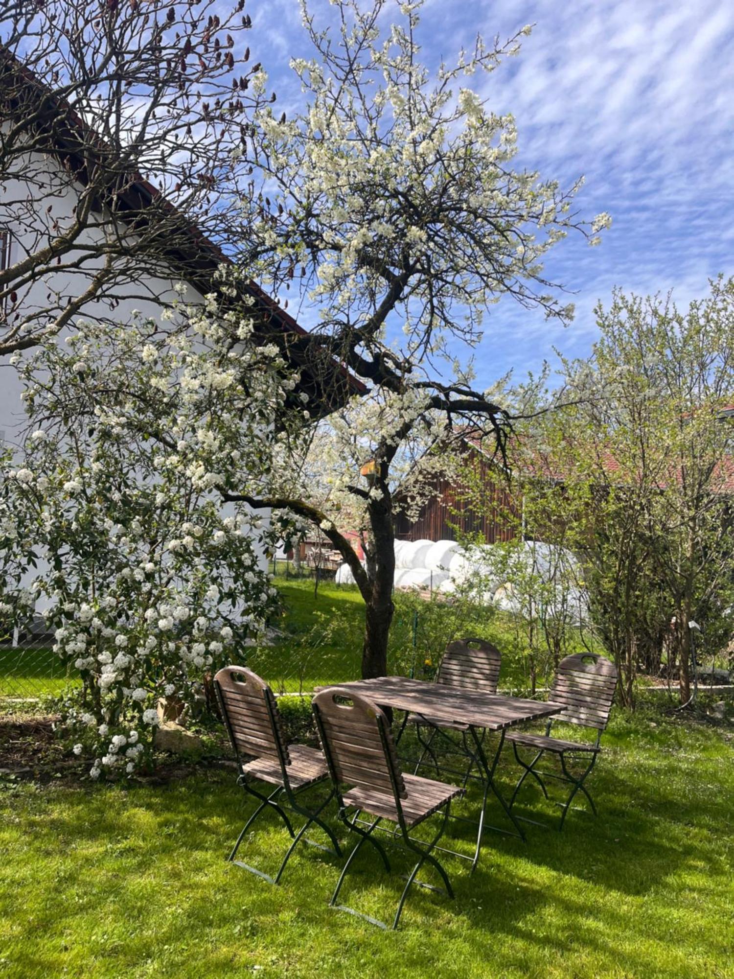 Zimmer Zum Wohlfuehlen Eching  Luaran gambar